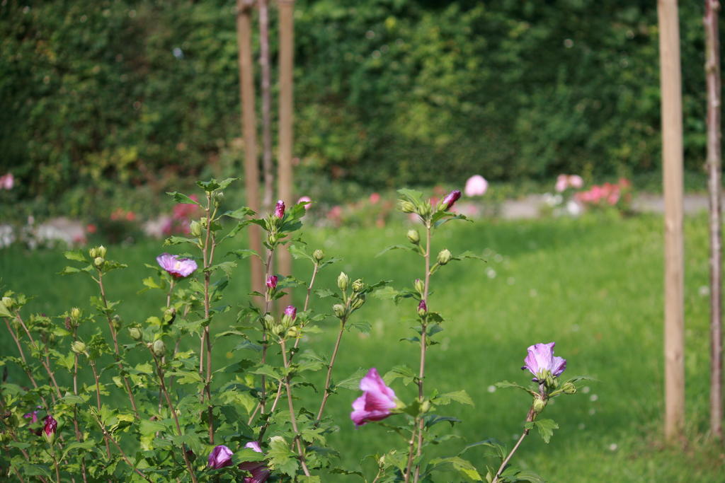 Am Kurpark